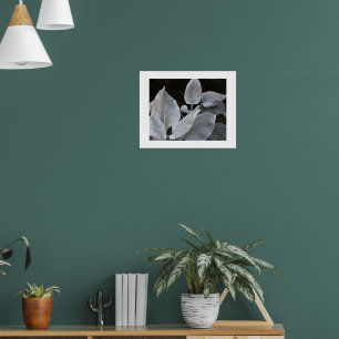 Poster Planta Floral da Silvery White Angel Wings
