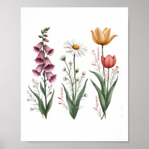 Poster Planta Floral de Foxglove Daisy Tuli, cantada,
