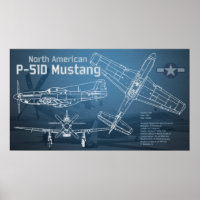 Planta gráfica P-51D Mustang norte-americana