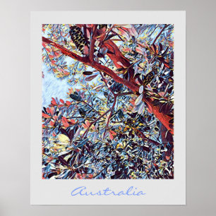 Poster planta nativa australiana Banksia