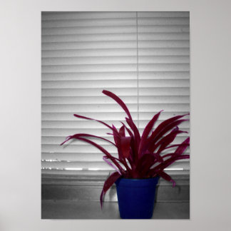 Póster Planta Púrpura