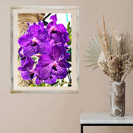 Poster Planta Tropical Orquídea de Flor Roxo