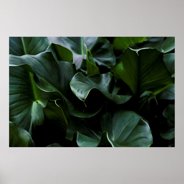 POSTER PLANTA VERDE (Frente)