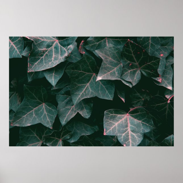 POSTER PLANTA VERDE (Frente)