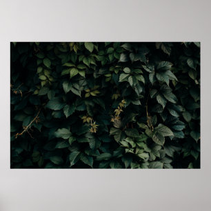 POSTER PLANTA VERDE ALIMENTADA