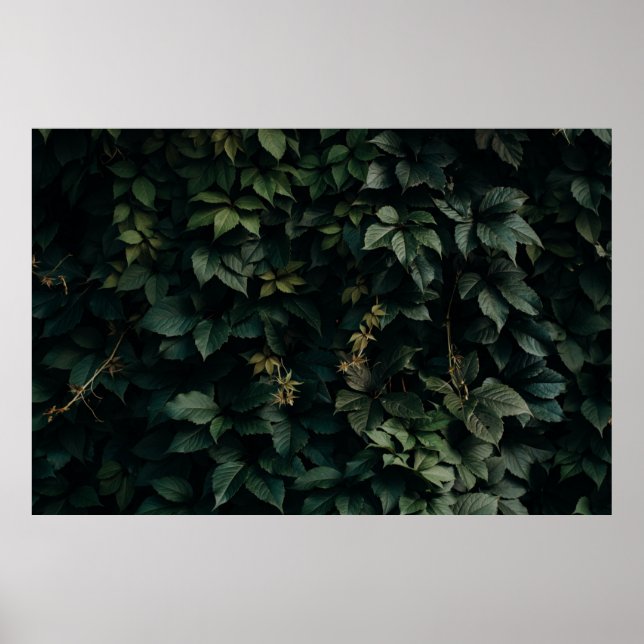 POSTER PLANTA VERDE ALIMENTADA (Frente)