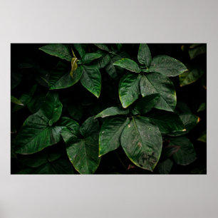 POSTER PLANTA VERDE EM FOTOGRAFIA DE FOCO