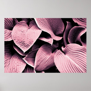 POSTER PLANTA VERMELHA ALIMENTADA