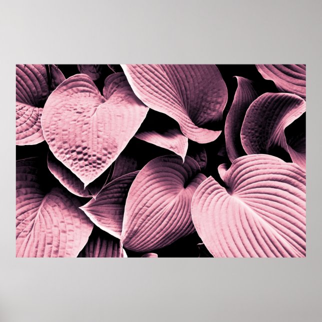 POSTER PLANTA VERMELHA ALIMENTADA (Frente)