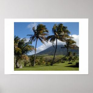 Poster Plantação do St. Kitts