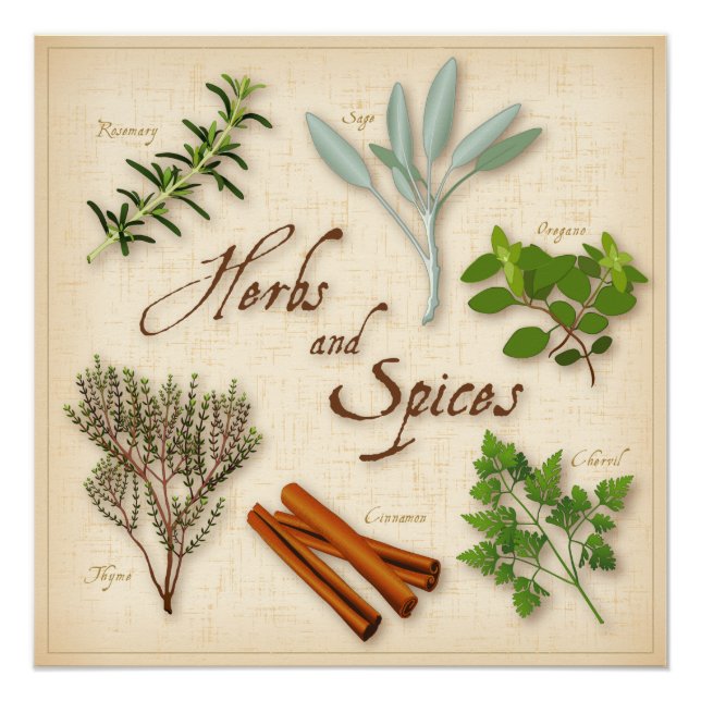 Póster Plantas aromáticas e especiarias, Rosemary, Sage,  (Frente)