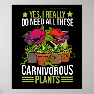 Poster Plantas Carnívoras Presentes Homens Sarracenia Ven