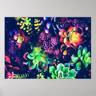 Póster Plantas Coloridas
