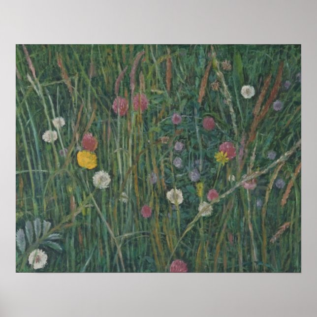 Póster Plantas da Machair 2008 (Frente)