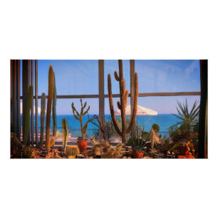 Póster Plantas de cactos e mar
