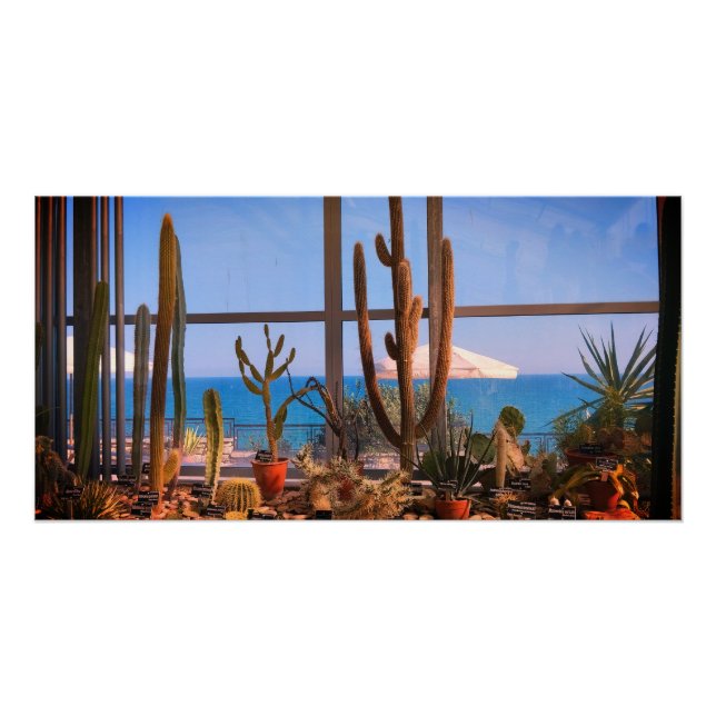 Póster Plantas de cactos e mar (Frente)