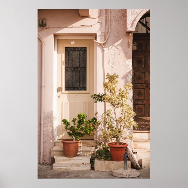 POSTER PLANTAS DE FOLHA VERDE (Frente)