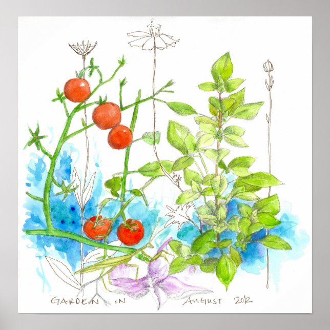Póster Plantas De Tomate Basil: Flores De Aquarela (Frente)