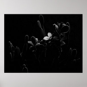 Poster Plantas do Deserto em Preto e Branco