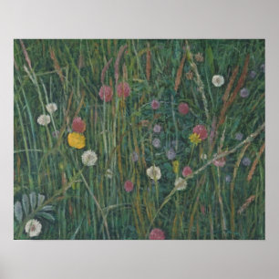 Póster Plantas do Machair 2008