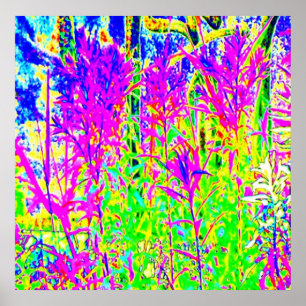 Póster Plantas dos grafites n: Ponte Toronto do rio de