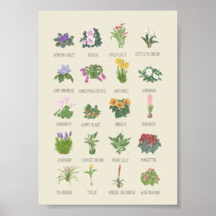Poster Plantas Interior + Nomes Amantes De Plantas De Jar
