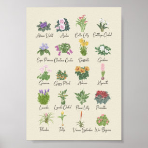 Poster Plantas Interior + Nomes Amantes De Plantas De Jar