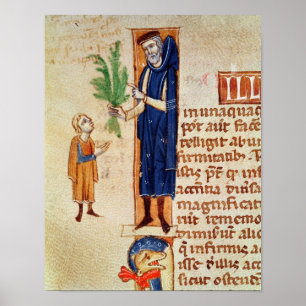 Poster Plantas medicinais