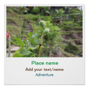 Póster Plantas naturais fotografia água de praia viagem