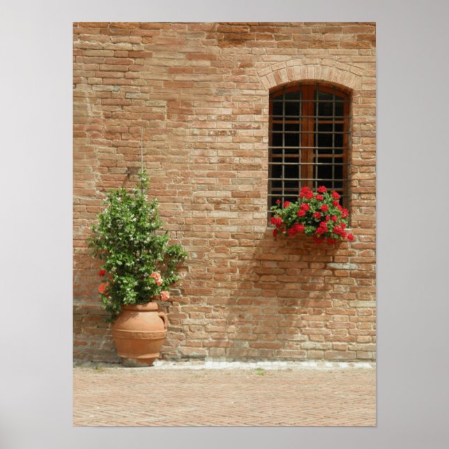 Poster Plantas potes da Toscana (Frente)