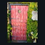 Poster Plantas Rosa Plantas Madeira Door Rua Augustine Fl<br><div class="desc">Olá! Espero que goste desta foto que tirei nas minhas viagens! Sinta-se livre para adicionar seu próprio texto e verifique minhas compras para mais!</div>