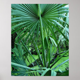 Póster Plantas tropicais na lagoa de sal