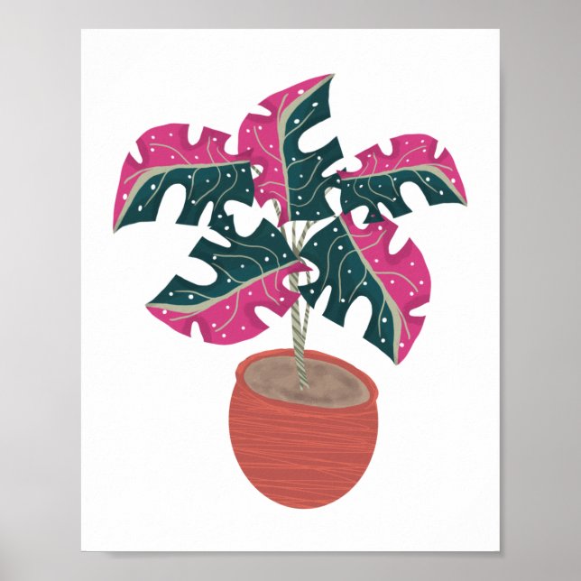 Poster Plantas Tropical Rosa Monstera Variegada Arte (Frente)