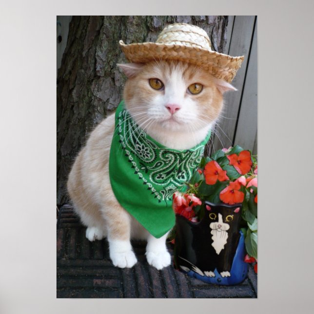 Póster Plante alguma coisa (Frente)