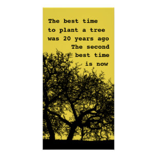 Póster Plante uma árvore, não é poster tarde demais