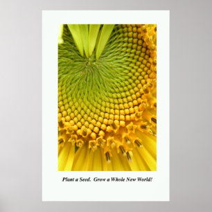 Poster Plante uma semente. Cresça um mundo novo inteiro!