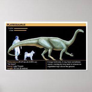 Poster Plateosaurus - Biologia Jurássica