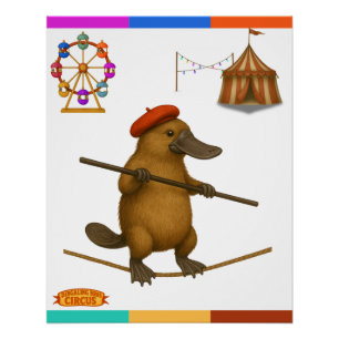 Póster Plato ornitorrinco equilibrista