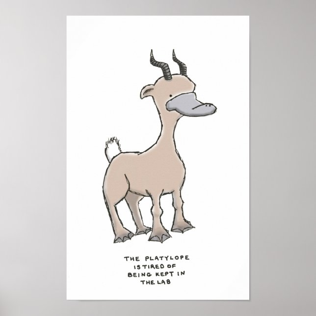 Poster platylope trivia (Frente)