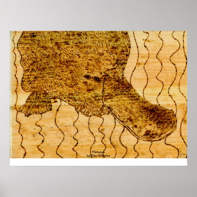 Póster Platypus (Frente)