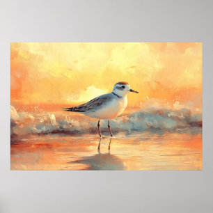 Poster Plover em Pé nas Ondas do Oceano Durante o Pôr do