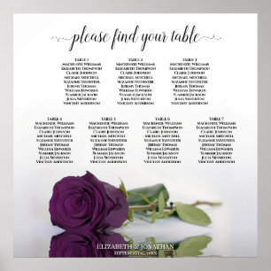 Poster Plum Purple Rosa 7 Mesa Sentado
