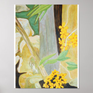 Poster Plumeria Blooms na Aquarela Creekbed