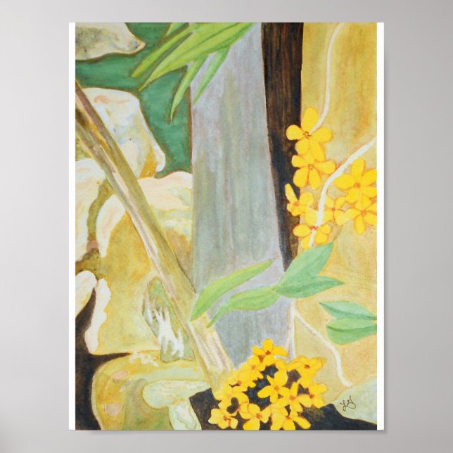 Poster Plumeria Blooms na Aquarela Creekbed (Frente)
