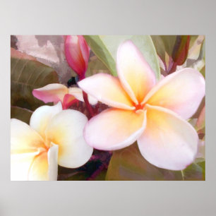 Póster Plumeria branco