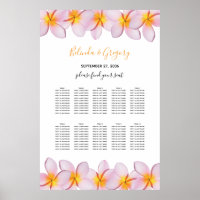 Plumeria Rosa Plumeria Frangipani - Placa Sentada