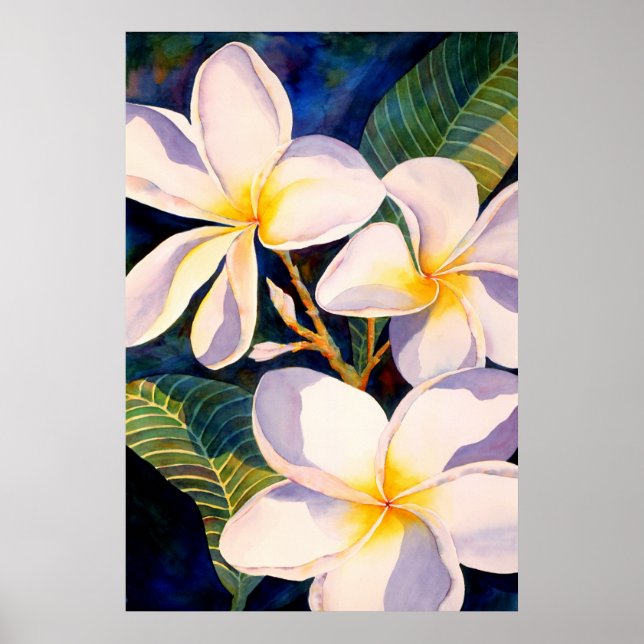 Póster Plumerias Aglow (Frente)