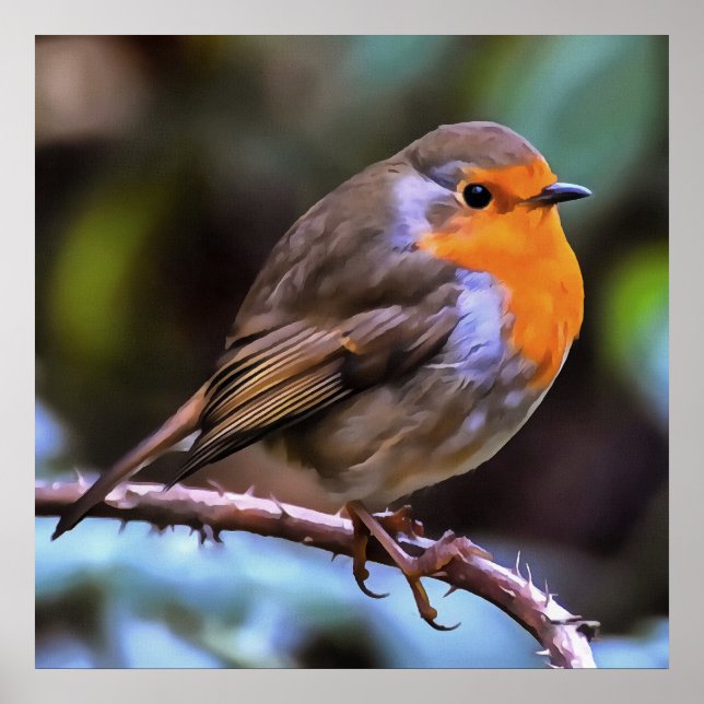 Poster Plump Robin Perch Em Uma Arte De Vida Selvagem De  (Frente)