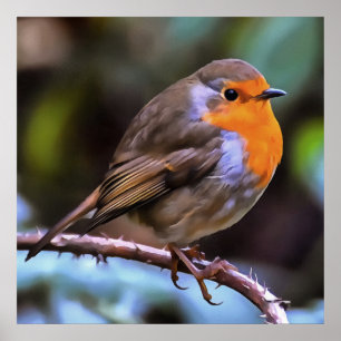 Poster Plump Robin Perched Em Um Ramo