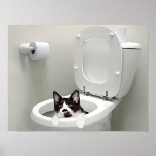 Póster Pnha a tampa para baixo